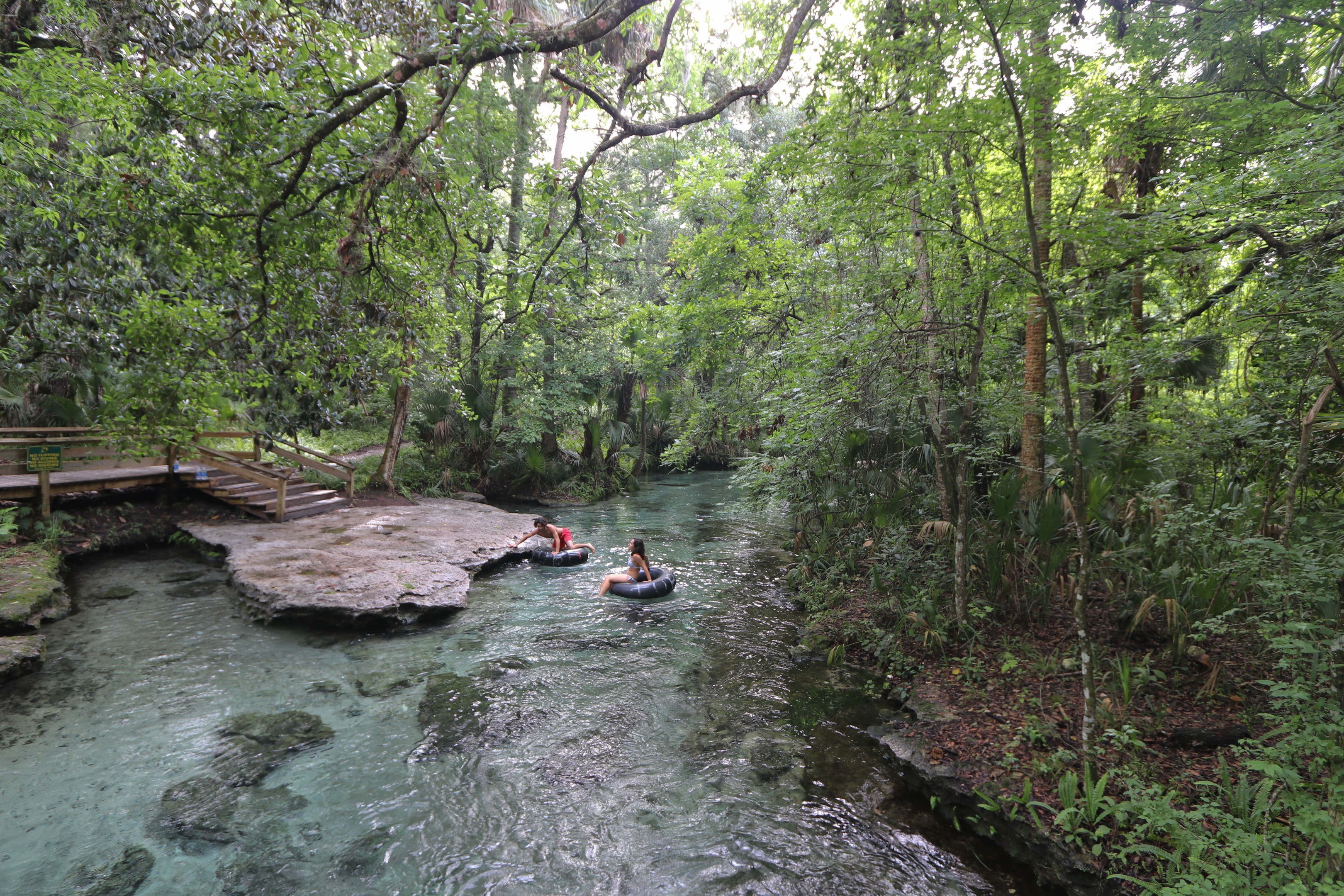 12 Natural Springs in Florida where you can Swim + Go Tubing