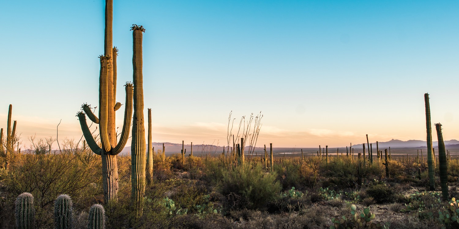 Trails, Tents + Tacos: Unrivaled Explorations in Tucson, AZ - Outdoor ...