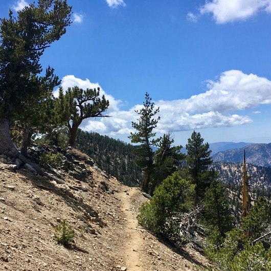 Morton Peak Hike | Outdoor Project