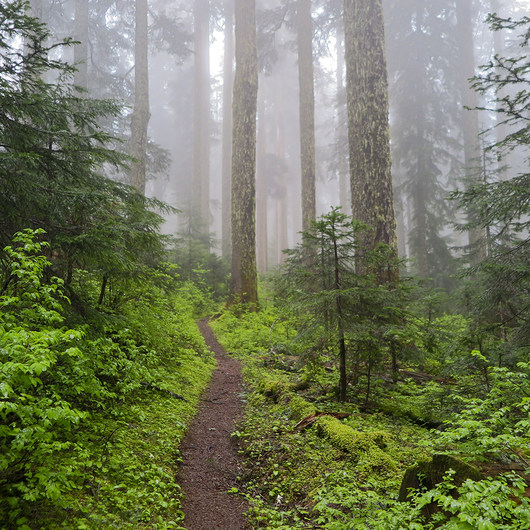 Lower Falls Campground | Outdoor Project