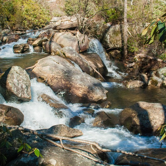 Keowee Toxaway State Park Campground | Outdoor Project