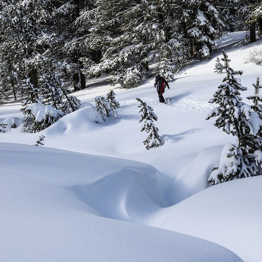 Tahoe Meadows | Outdoor Project