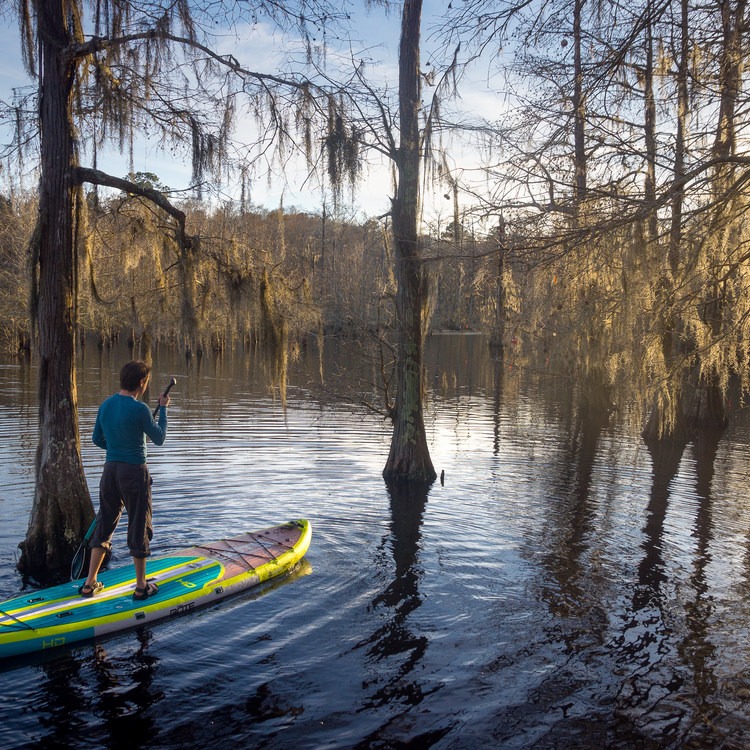 Escape to Chicot: Louisiana's Hidden Gem for Outdoor Adventures