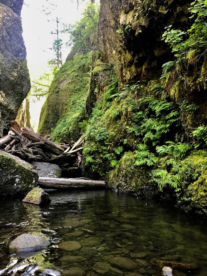 Oneonta Gorge | Outdoor Project