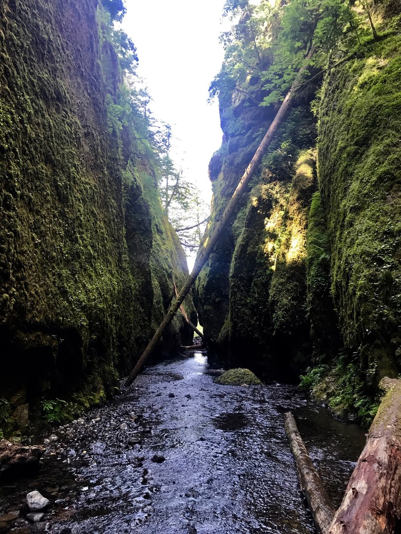 Oneonta Gorge | Outdoor Project