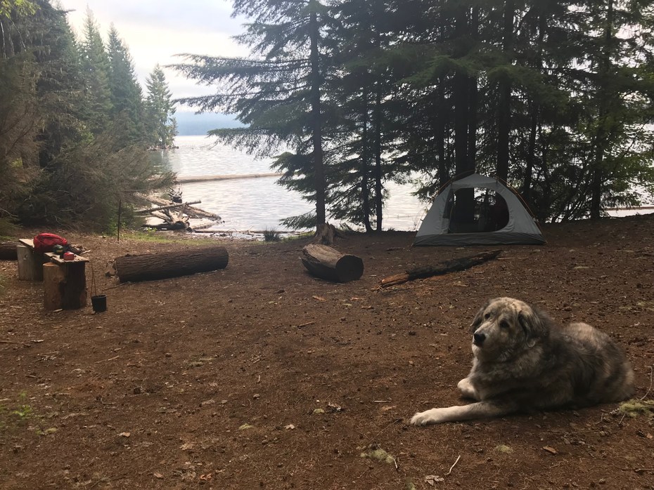 Meditation Point Timothy Lake Campground