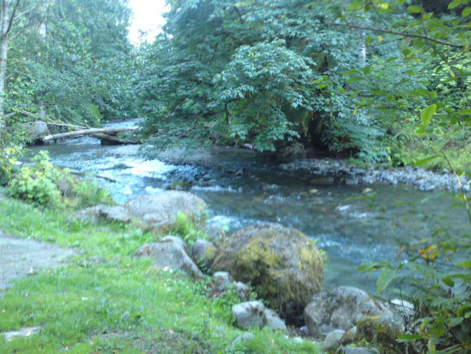 Lyre River Campground Outdoor Project