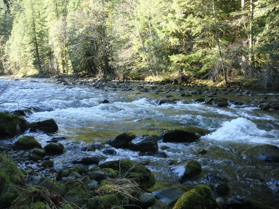 Salmon River, Old Trail - hiking in Oregon