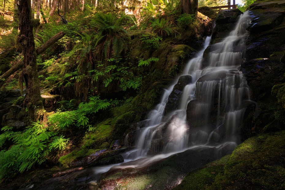 Siouxon Creek Hike | Outdoor Project