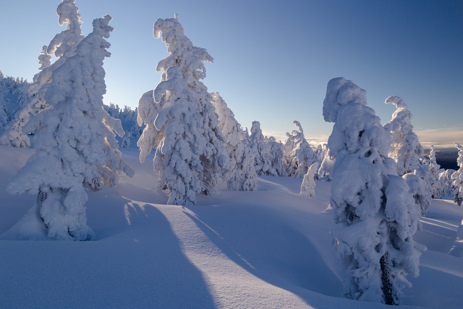 Tumalo Mountain Snowshoe | Outdoor Project