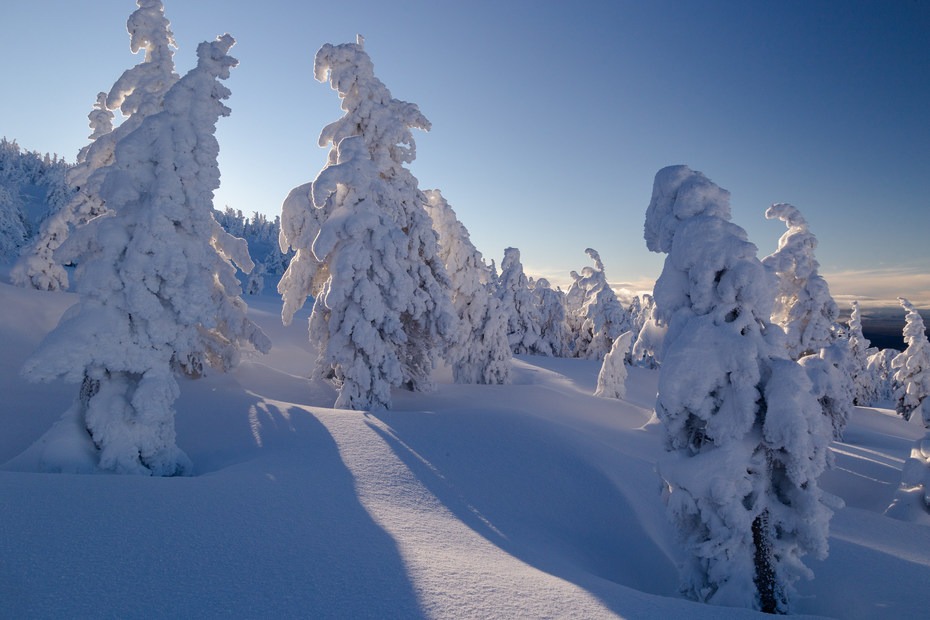 Tumalo Mountain Snowshoe | Outdoor Project