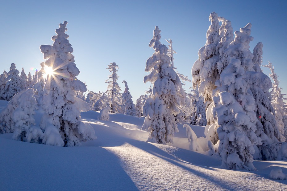 Tumalo Mountain Snowshoe | Outdoor Project