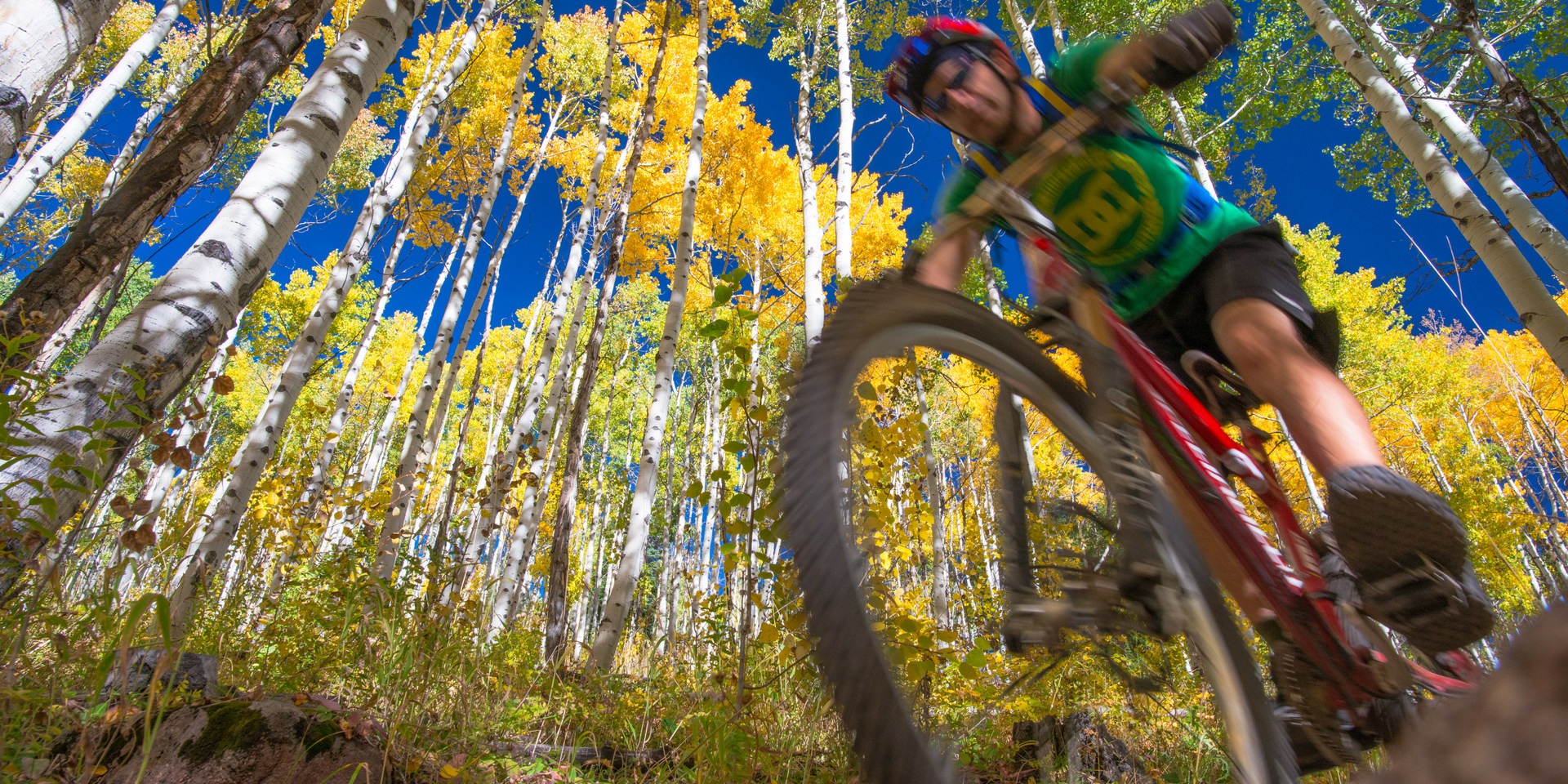 mill creek mountain biking