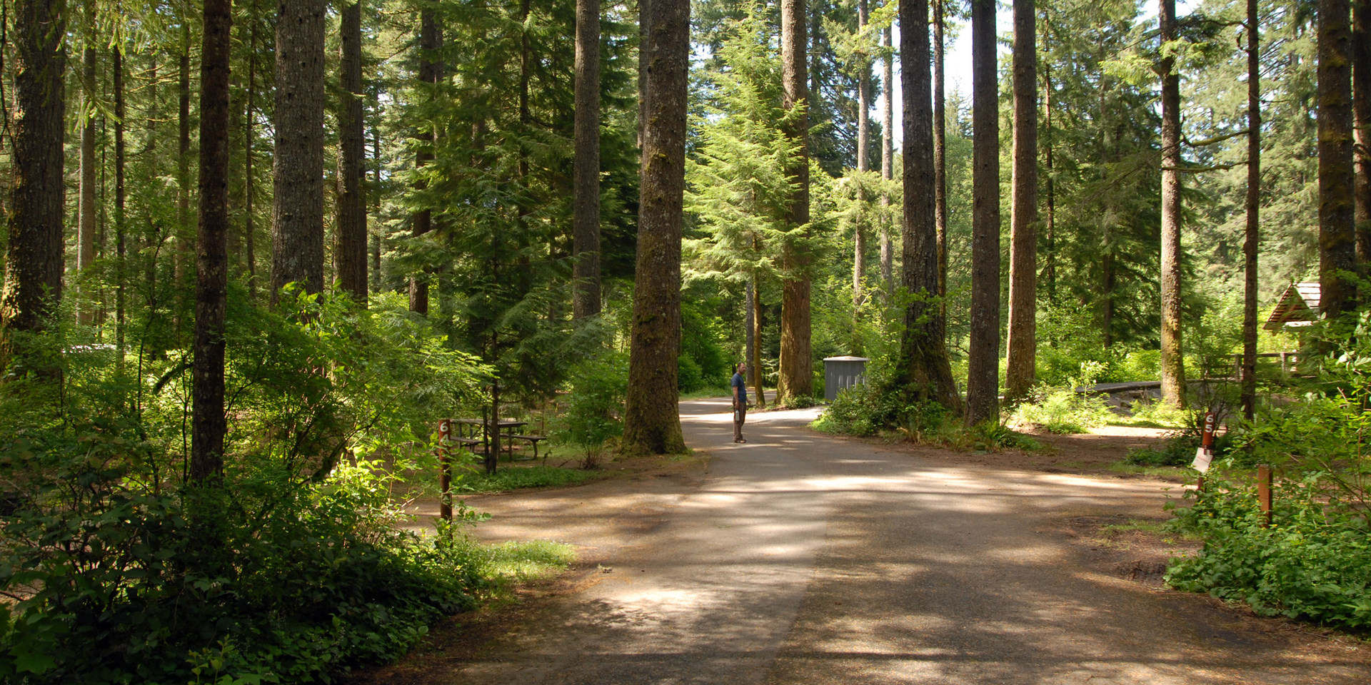 Silver Falls State Park Campground | Outdoor Project