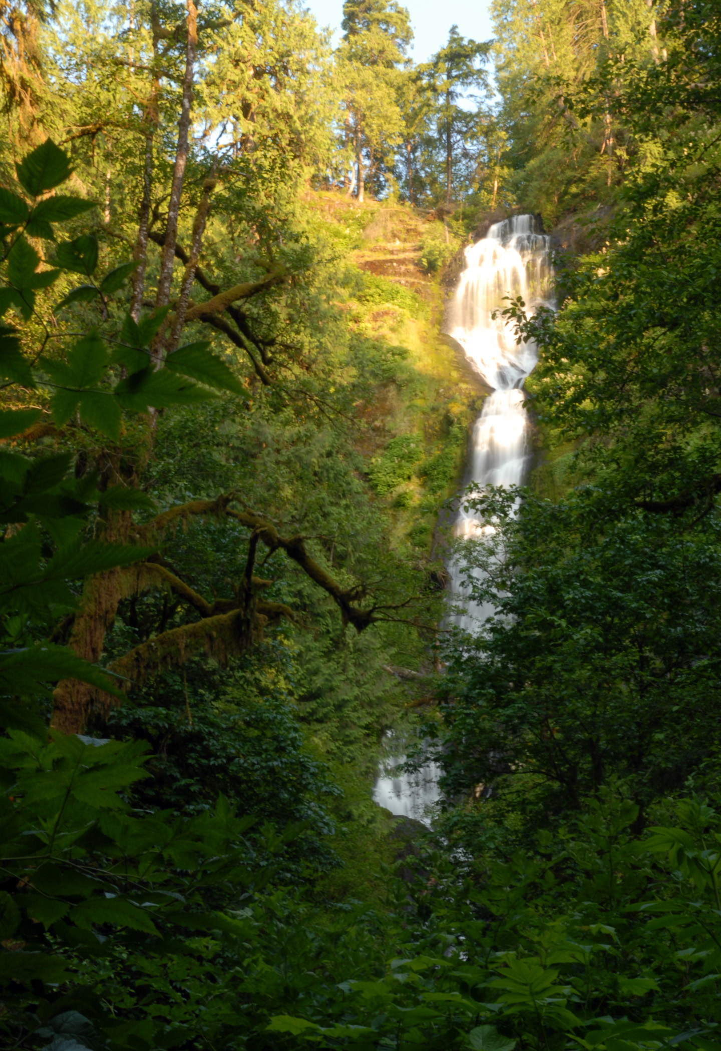 Munson Creek Falls State Natural Area  Outdoor Project