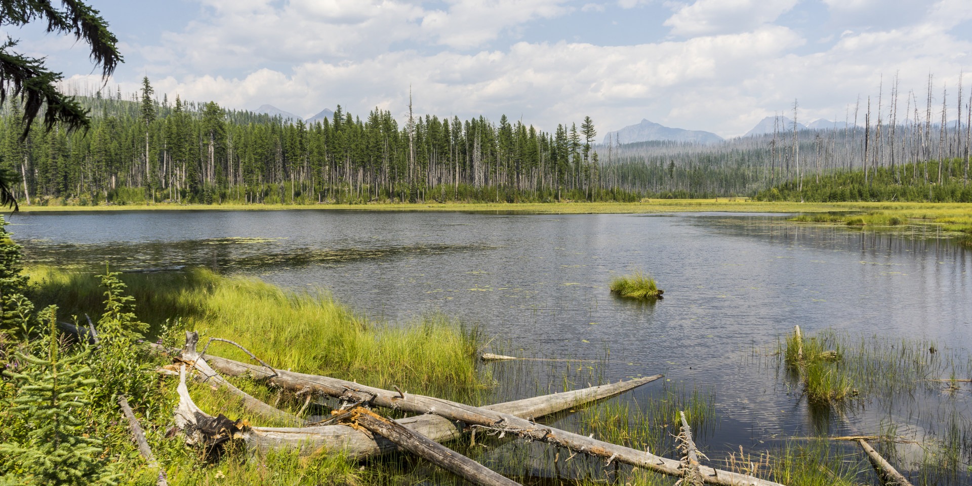 Howe Lake Trail | Outdoor Project