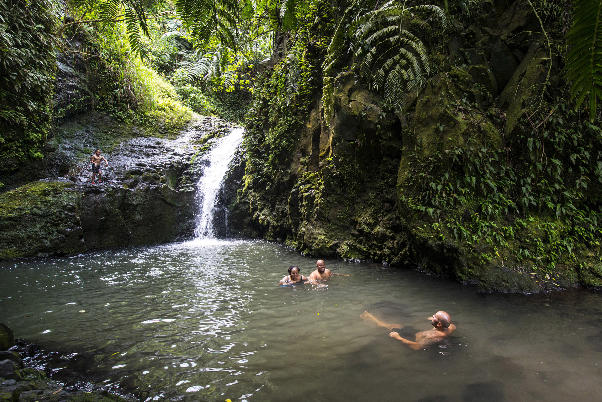 Maunawili Falls Hike Outdoor Project