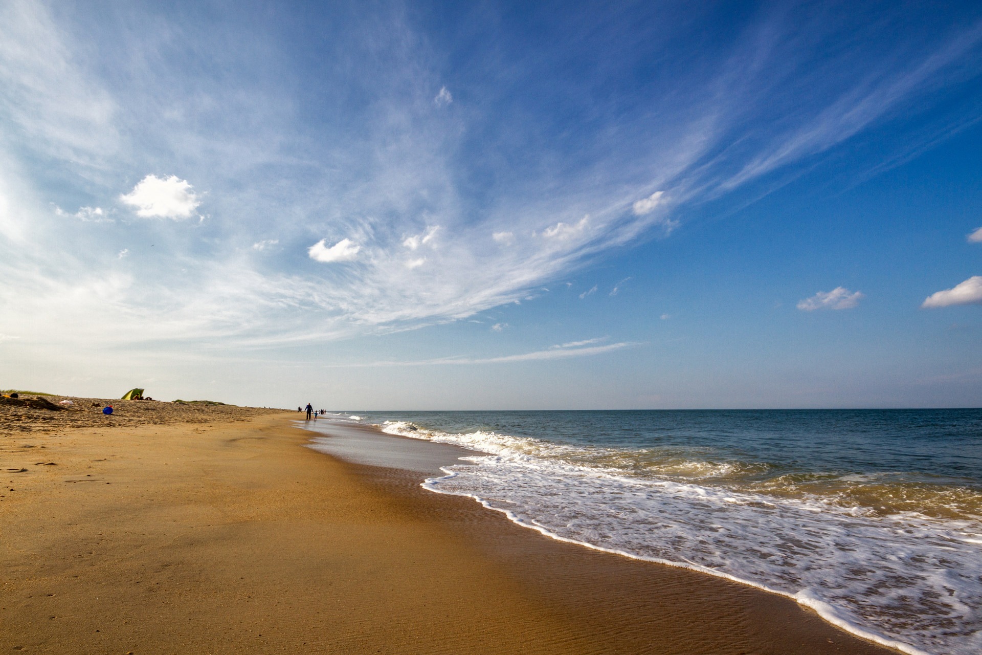 Cape Henlopen State Park Outdoor Project