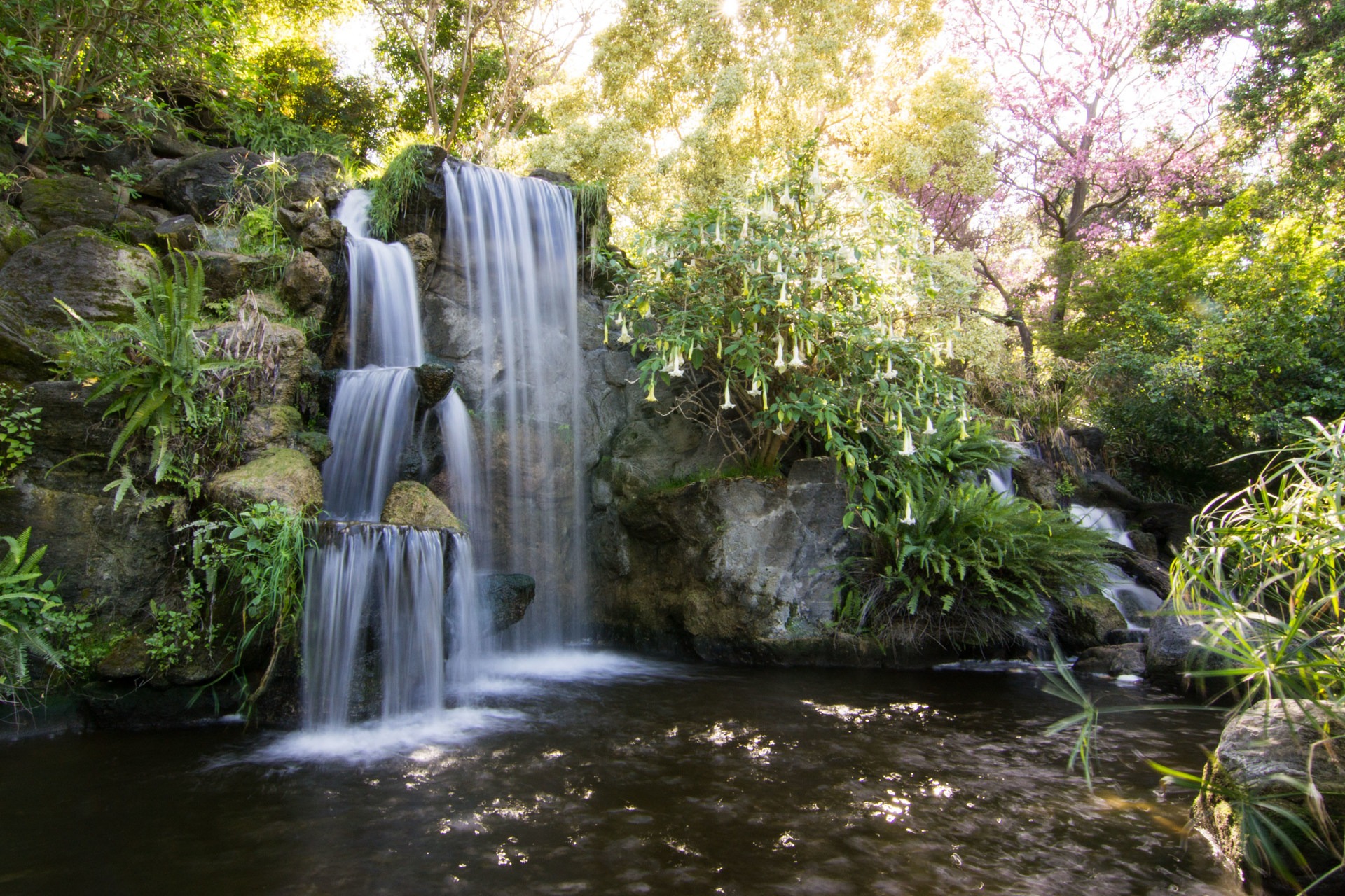 South Coast Botanic Garden