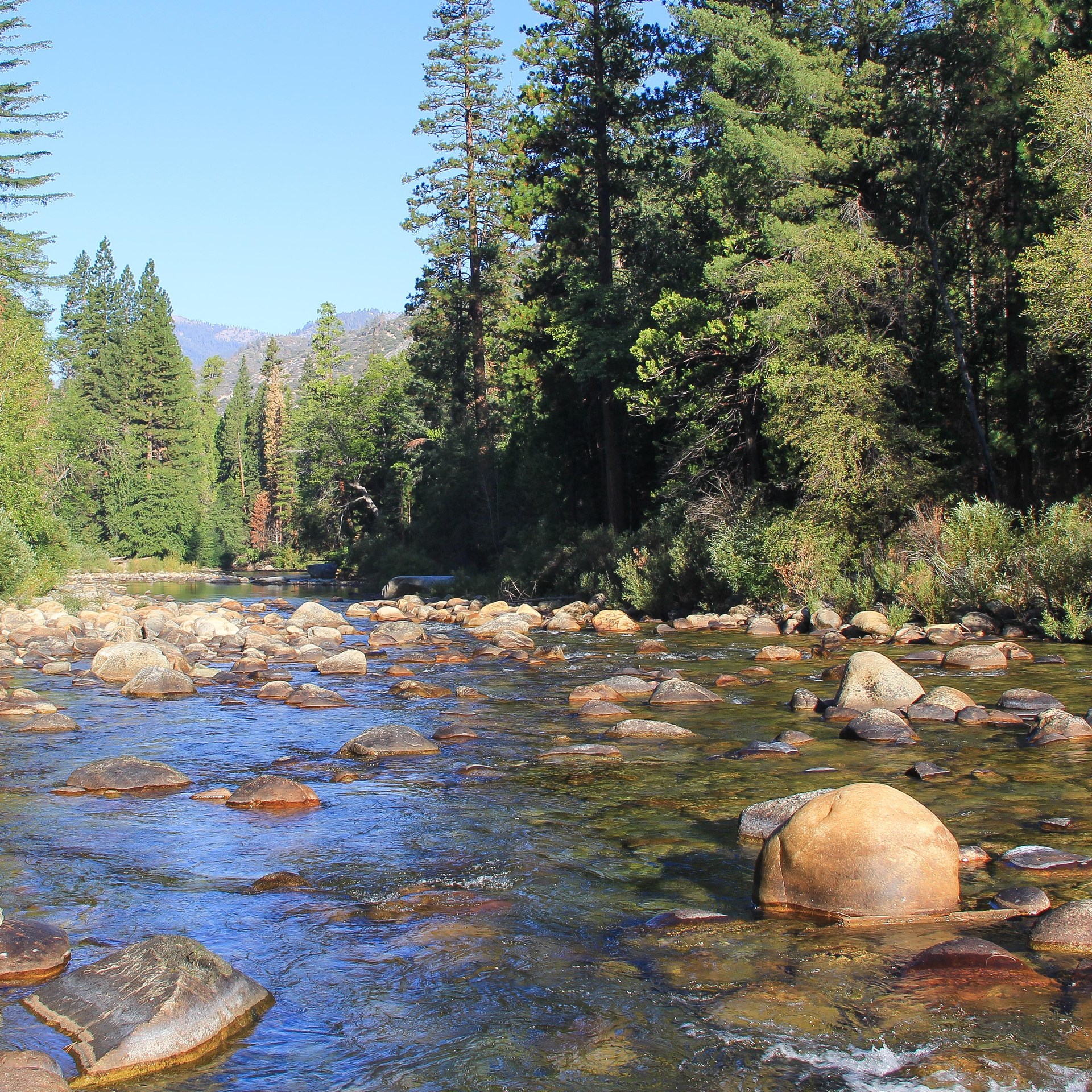 Sheep Creek Campground | Outdoor Project