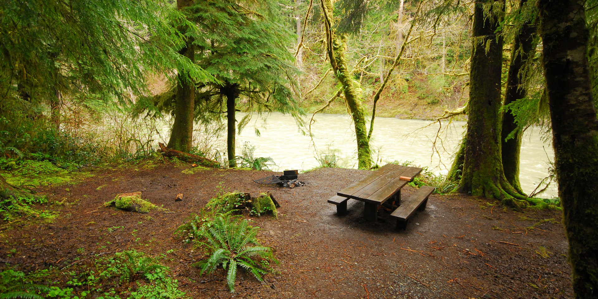 Hoh Oxbow Campground Outdoor Project