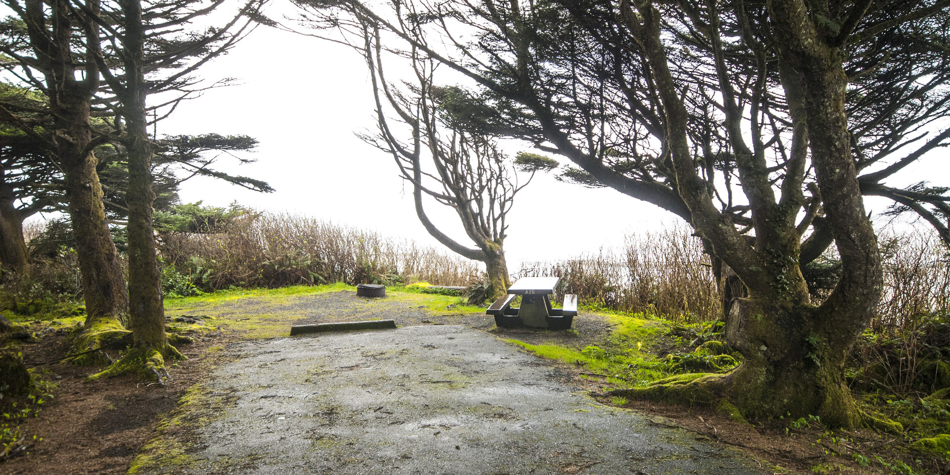 Kalaloch Campground Outdoor Project   Dsc 0072 3 