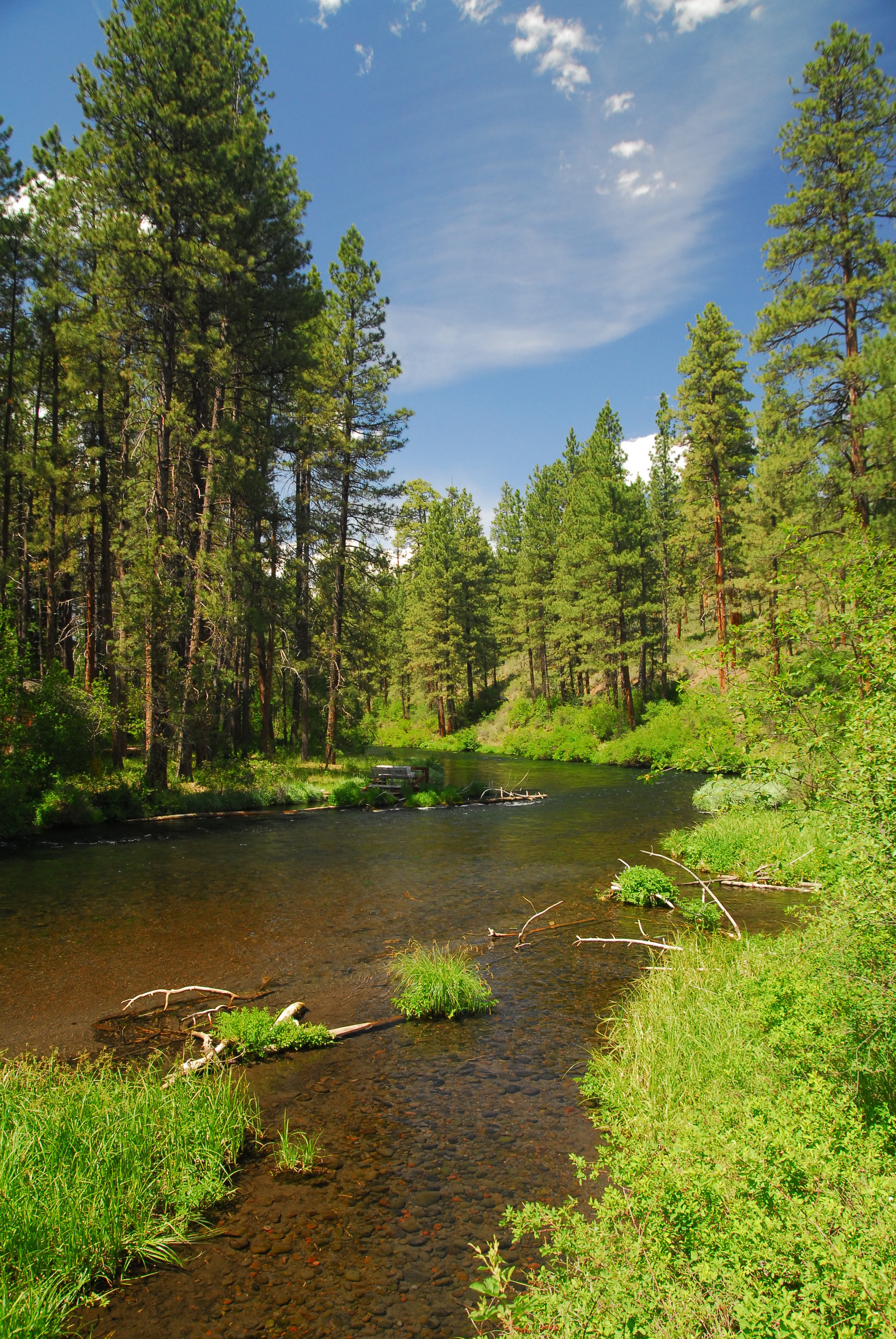 Metolius River Trail | Outdoor Project