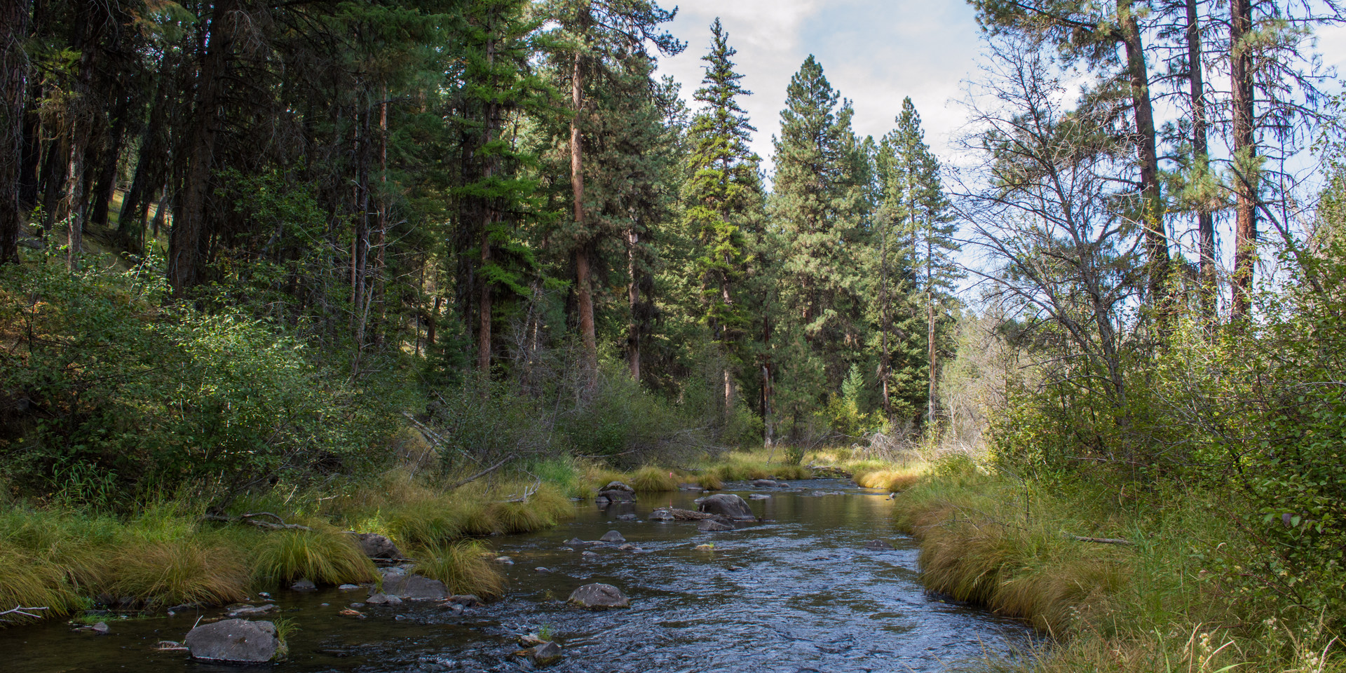 Middle Fork Campground | Outdoor Project