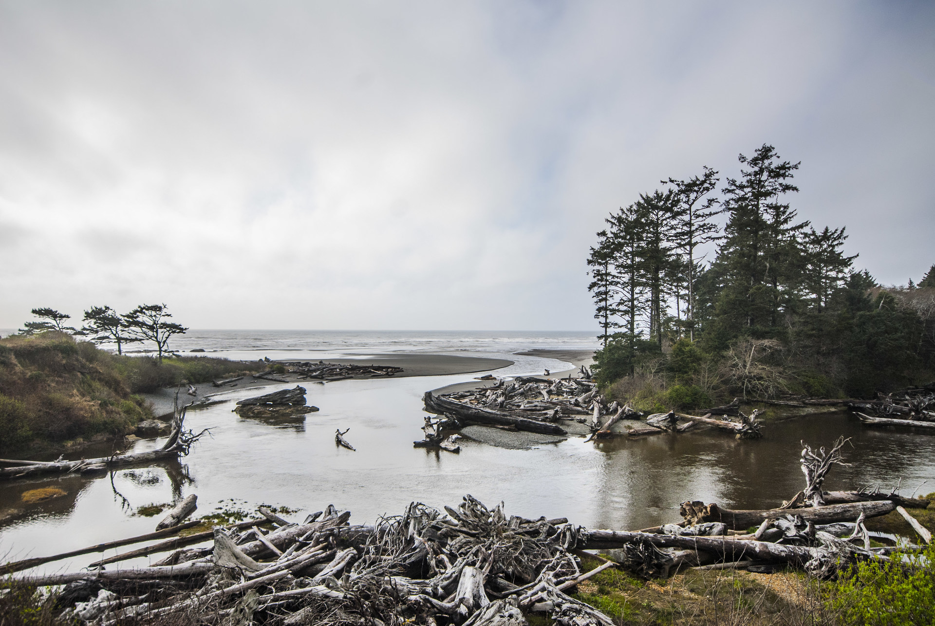 Kalaloch Beach + Rocks Outdoor Project