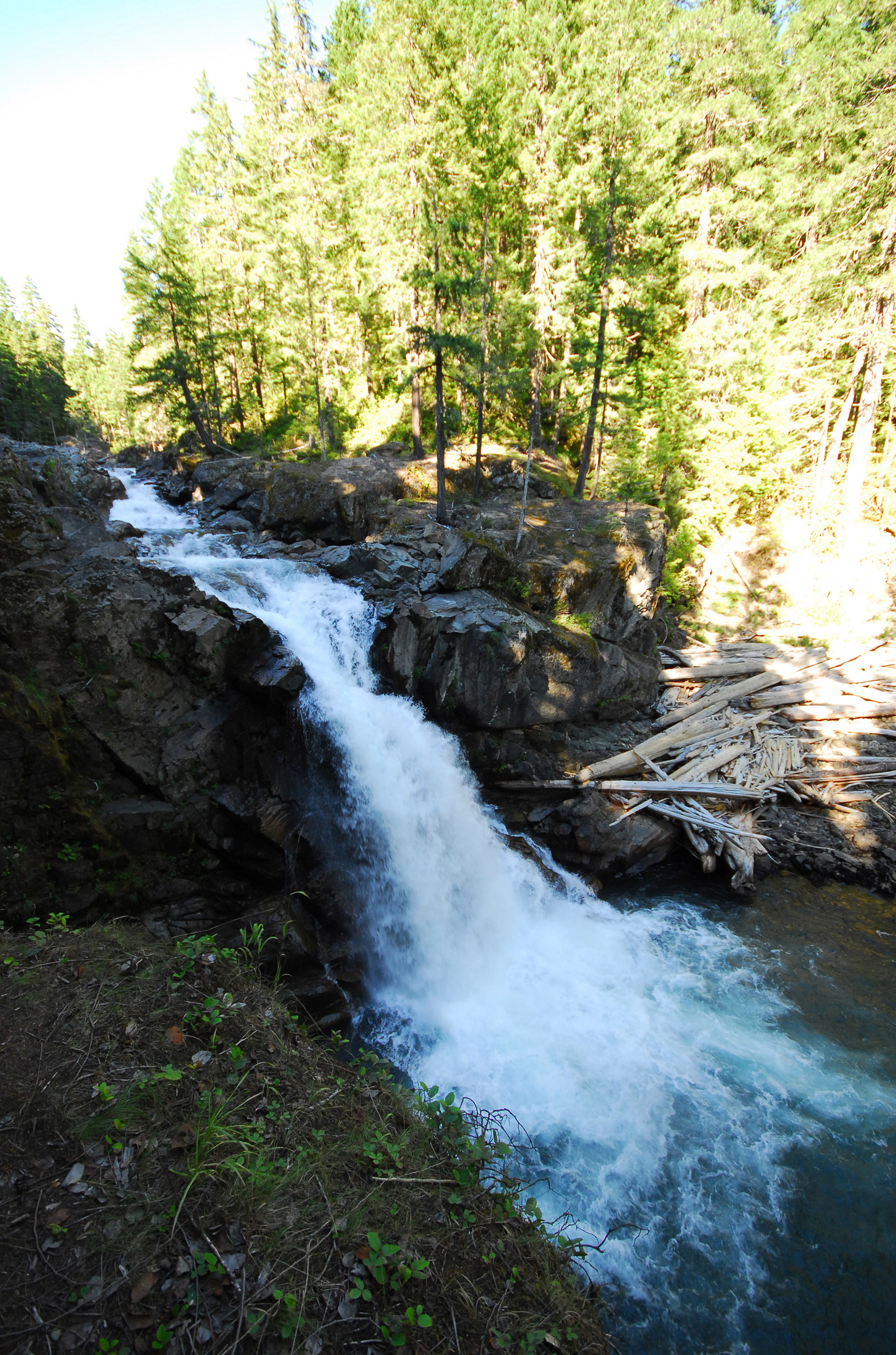 Silver Falls and Hot Springs Loop Trail | Outdoor Project