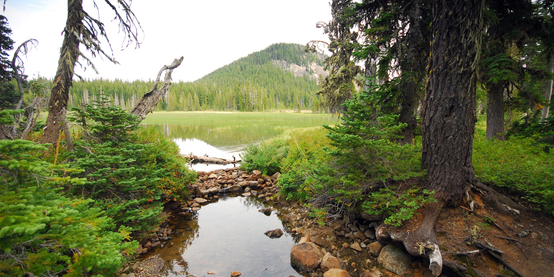 Breitenbush Lake Campground Outdoor Project