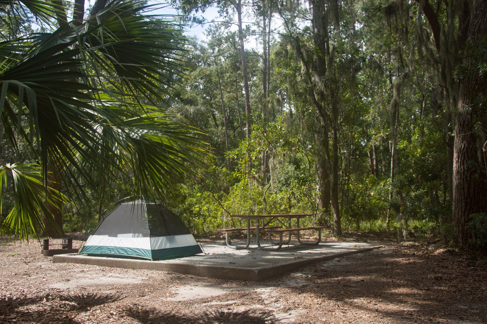 Skidaway Island State Park Campground  Outdoor Project