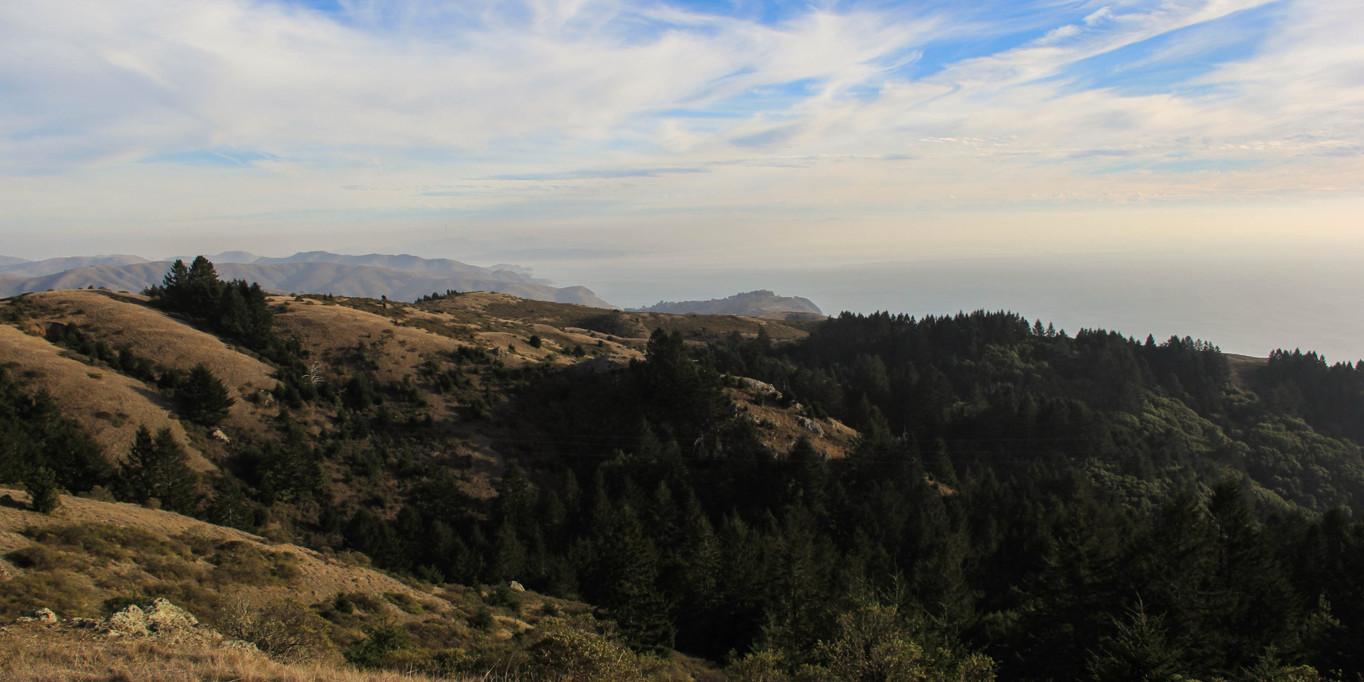 Steep Ravine Trail to Dipsea Trail Loop | Outdoor Project