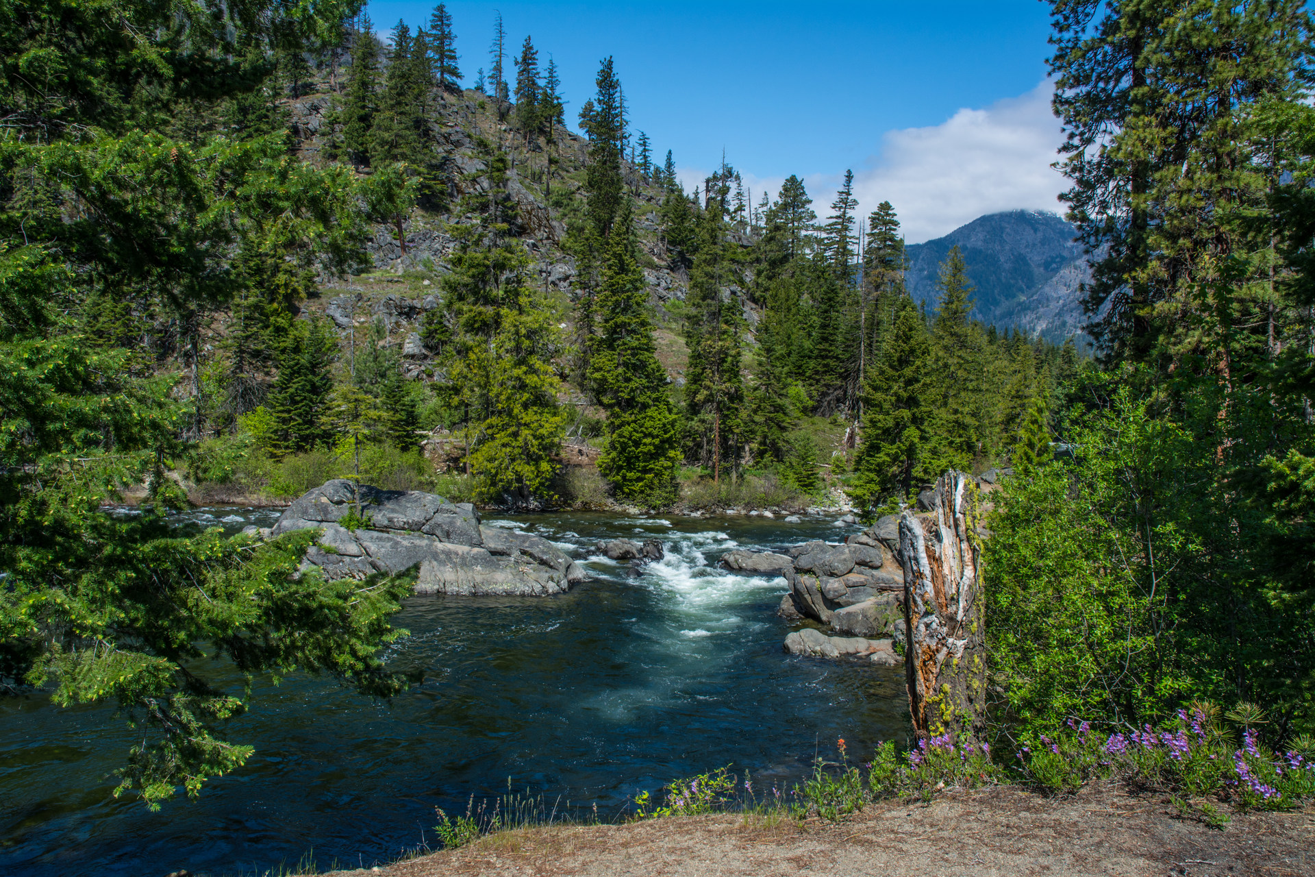 Ida Creek Campground | Outdoor Project