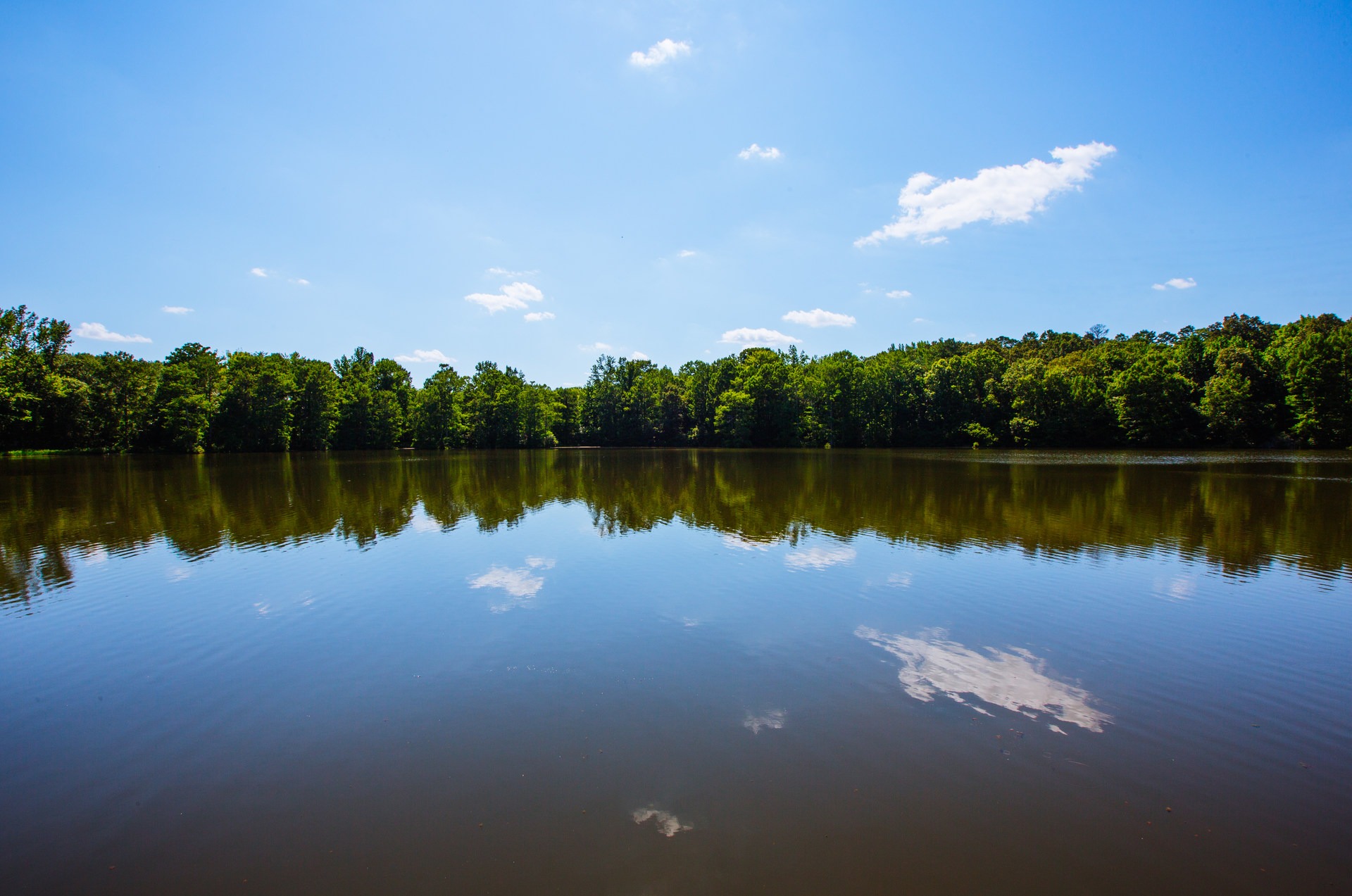 Escape to the Heart of Mississippi: A Journey to Wall Doxey State Park