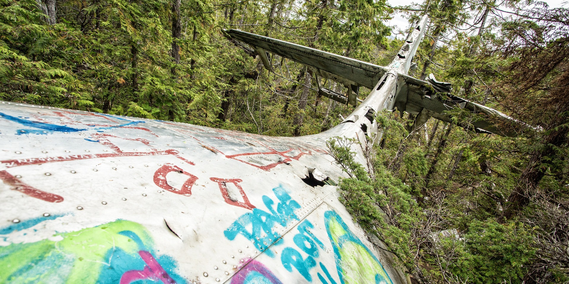 Canso Plane Crash Hike | Outdoor Project