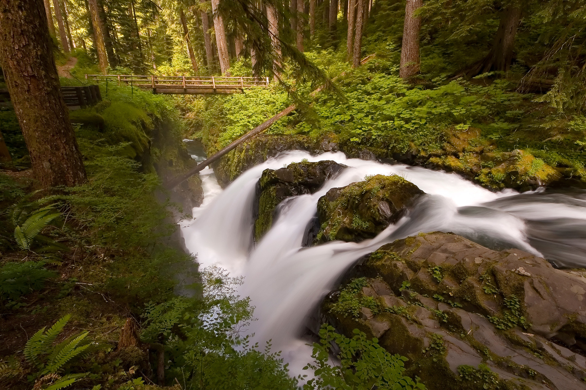 Olympic Peninsula Waterfall Road Trip Outdoor Project