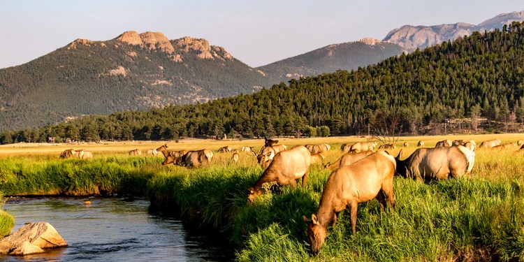 Rocky Mountain Vibes vs. Grand Junction Jackalopes: Margaritaville