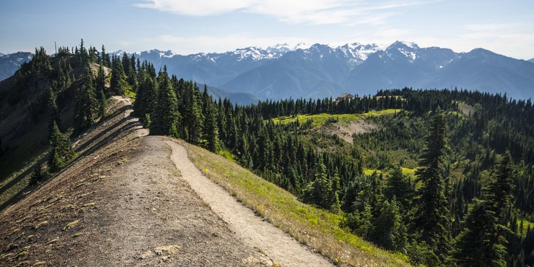 10 Amazing Day Hikes in Olympic National Park Outdoor Project
