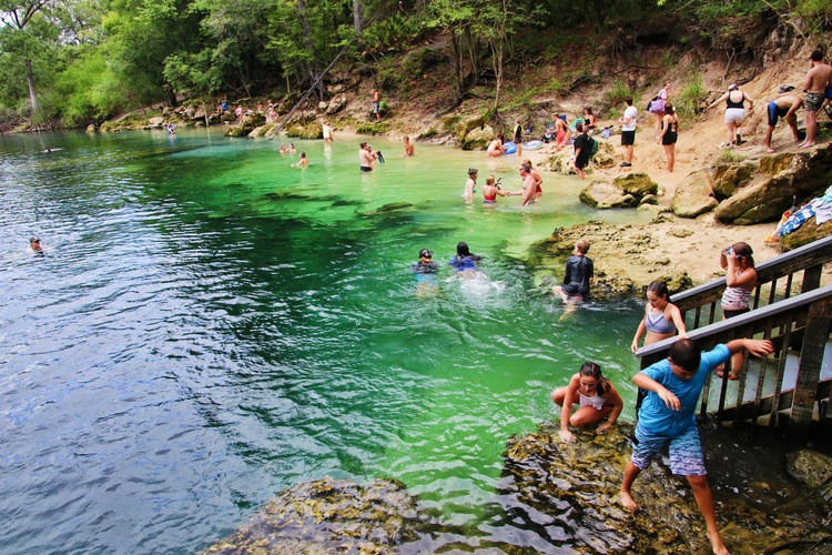 Our 19+ Favorite Freshwater Florida Springs in 2024 • Authentic Florida
