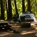 Douglas Fir Campground | Outdoor Project