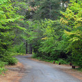 Wish-Poosh Campground Outdoor Project