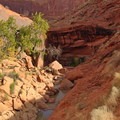 Coyote Gulch | Outdoor Project